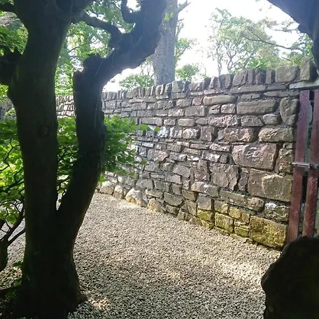 Nature Getaway Cosy With Breakfast Included Guest house 3*