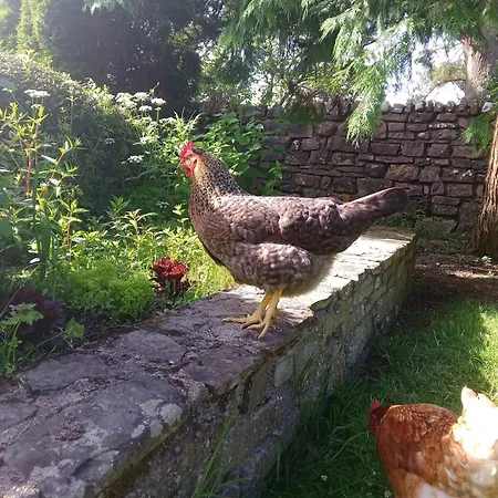 Guest house Nature Getaway Cosy With Breakfast Included Templeboy